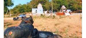 குட்டையூர்